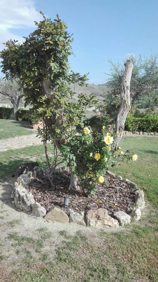 Agriturismo Casa Al Povero Вольтерра Экстерьер фото